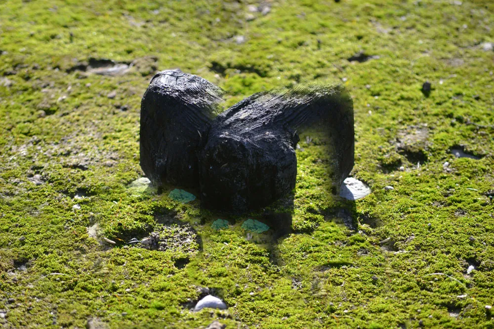 AERIAL_MAPPING_PATHS_MARIA_VALDES_1