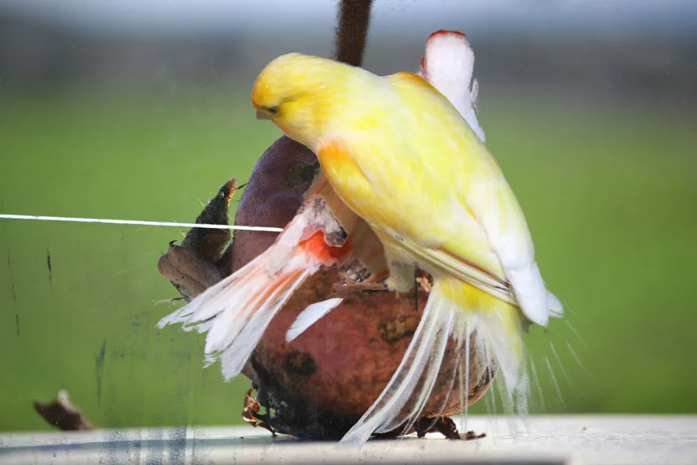 AERIAL_MAPPING_PATHS_MARIA_VALDES_3