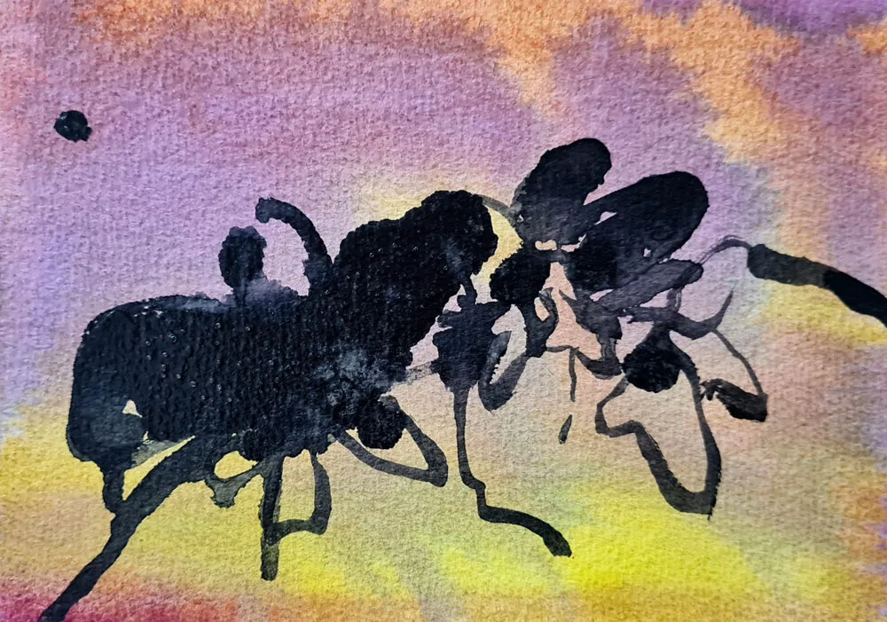 DESTINATION ALGARVE_MARIA_VALDES_39