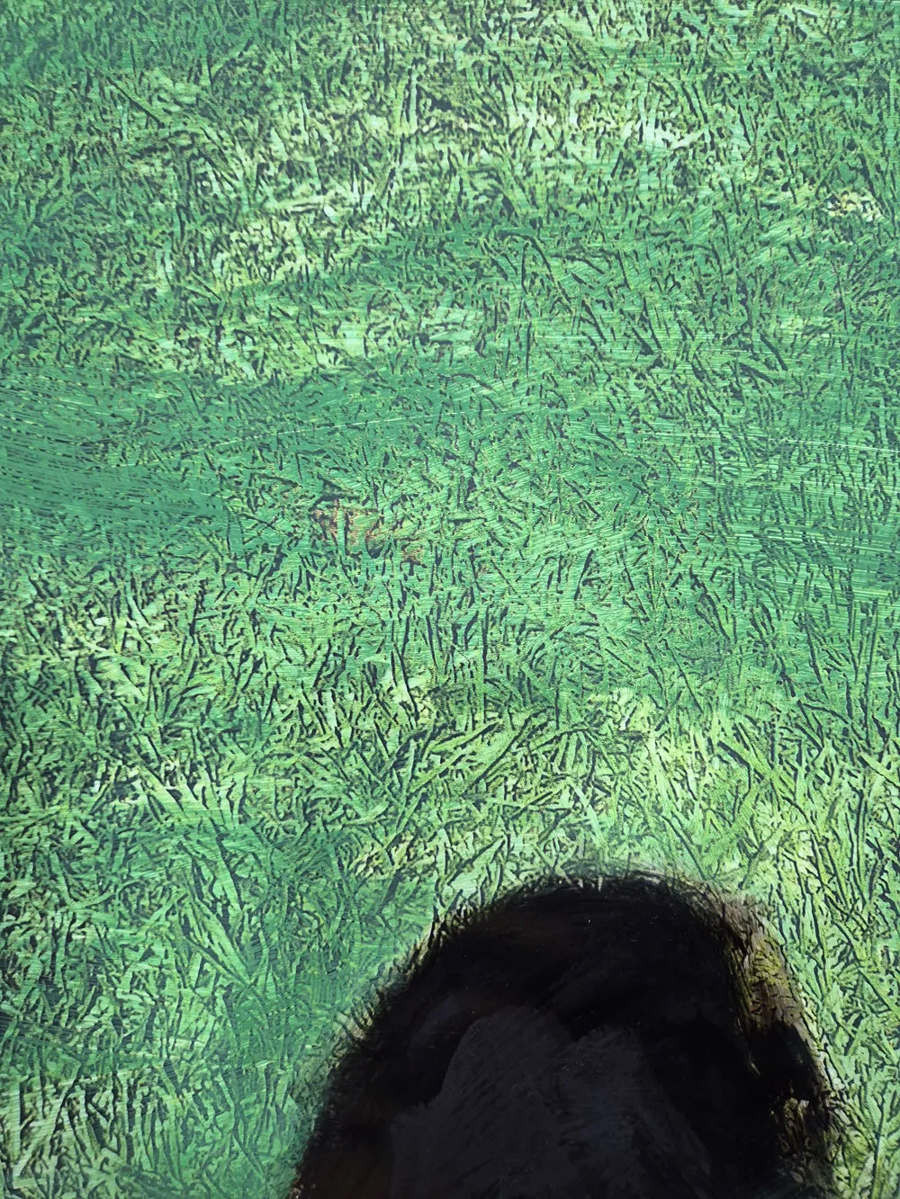 EN_EL_VERDE_MONTE_ADENTRO_MARIA_VALDES_4