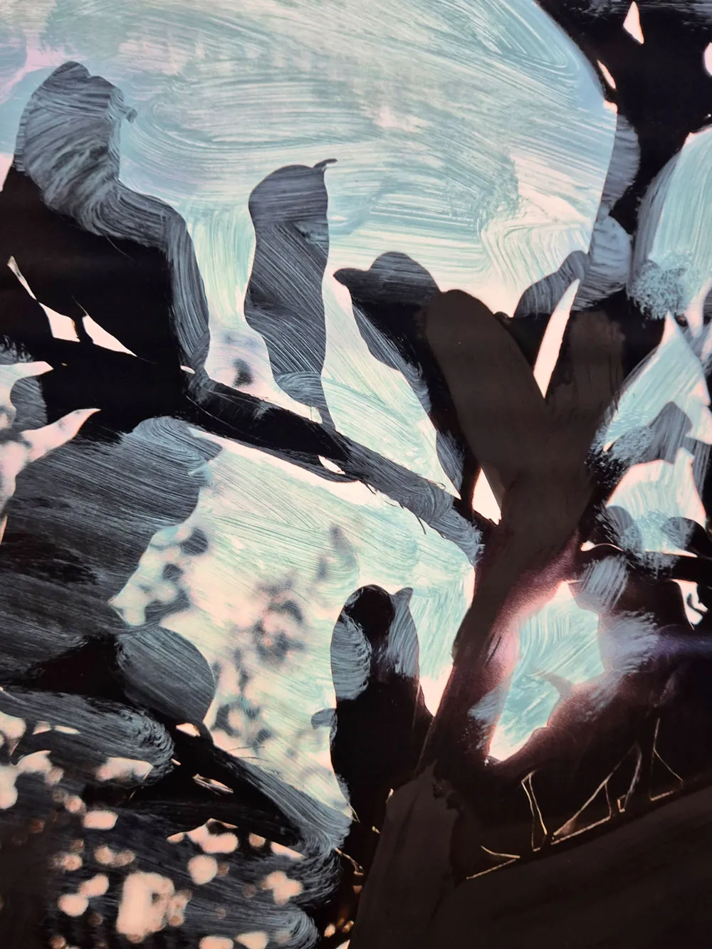 EN_EL_VERDE_MONTE_ADENTRO_MARIA_VALDES_5