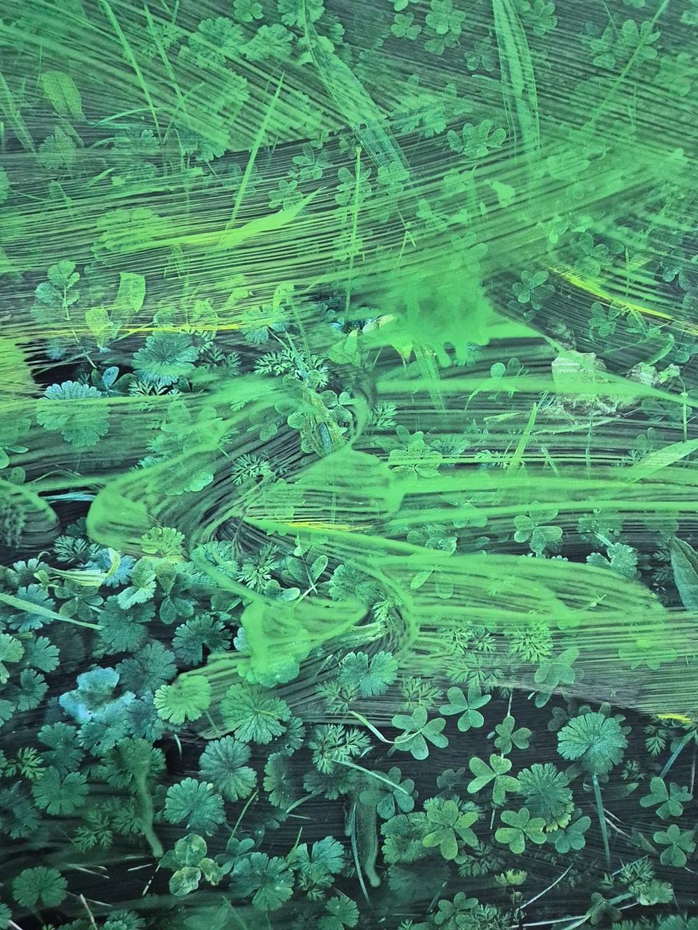 EN_EL_VERDE_MONTE_ADENTRO_MARIA_VALDES_6