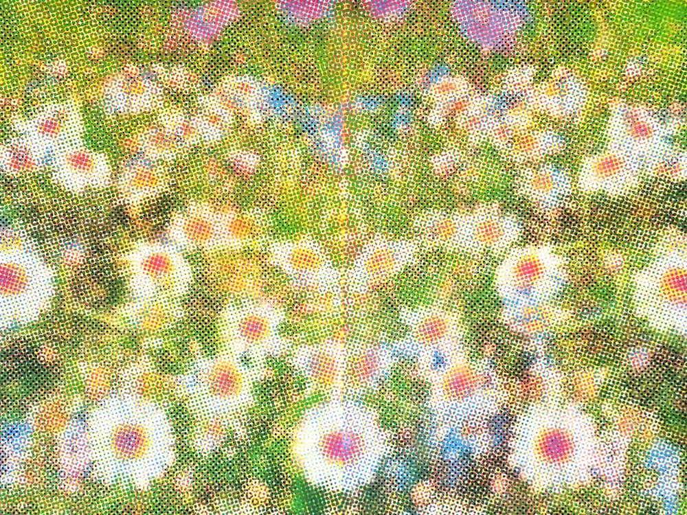 FRONDA_MARIA_VALDES_6