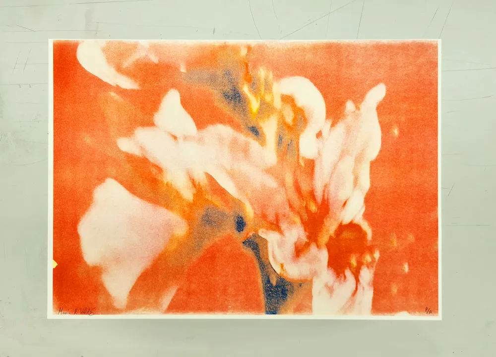 MEDIOPAN-EDICION2_MARIA_VALDES_1