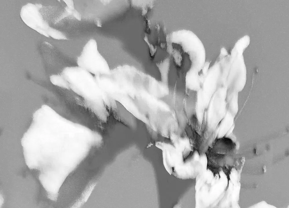 MEDIOPAN-EDICION2_MARIA_VALDES_3