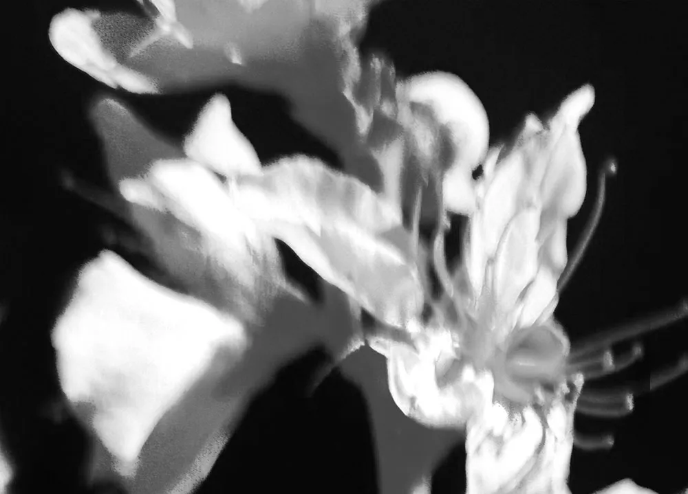 MEDIOPAN-EDICION2_MARIA_VALDES_4