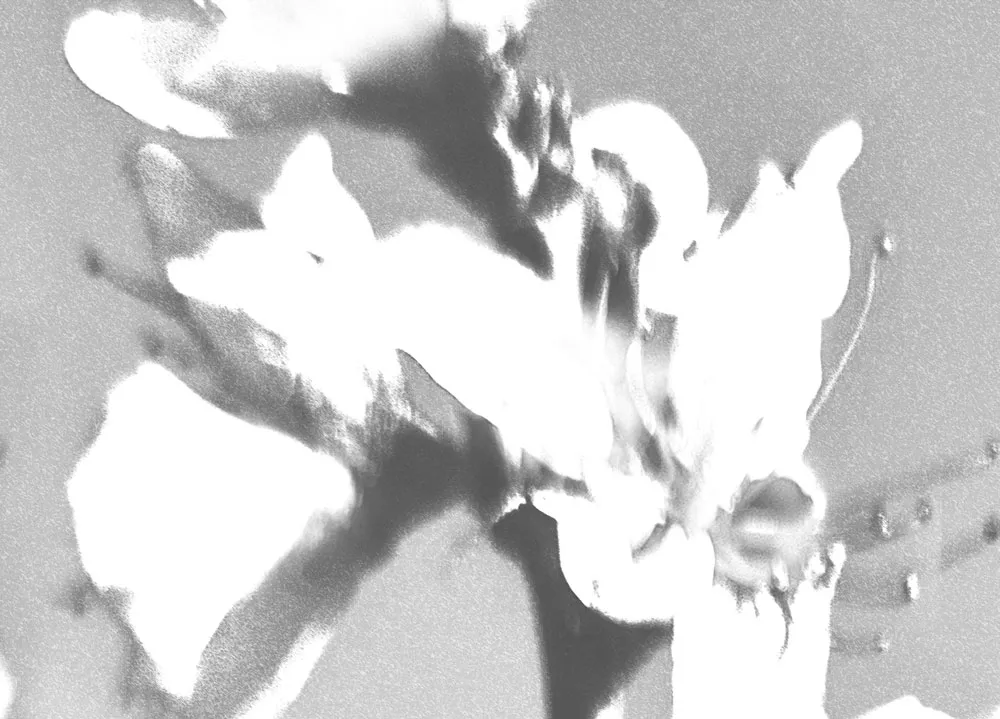 MEDIOPAN-EDICION2_MARIA_VALDES_5