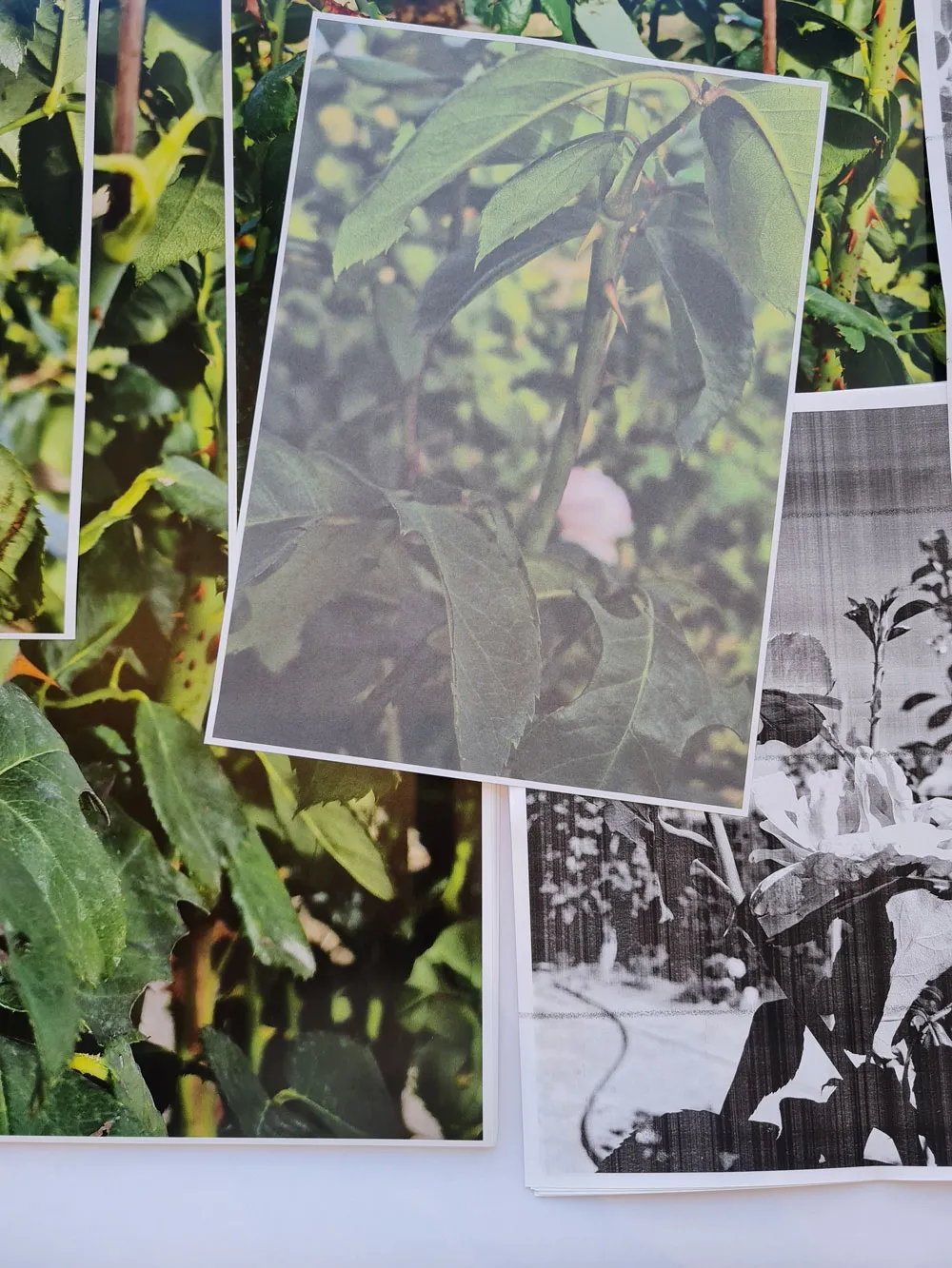 NOITE_E_DIA_MARIA_VALDES_1