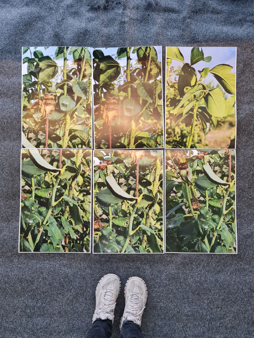 NOITE_E_DIA_MARIA_VALDES_3