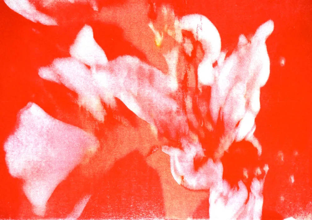 POETICAS_DEL_ERROR_MARIA_VALDES_5