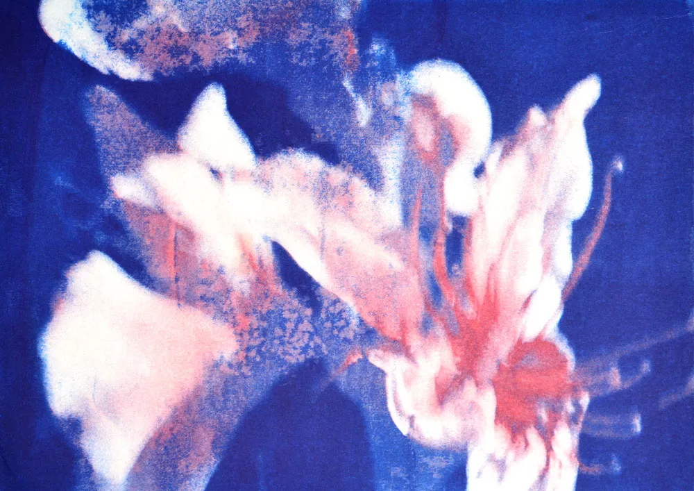 POETICAS_DEL_ERROR_MARIA_VALDES_8