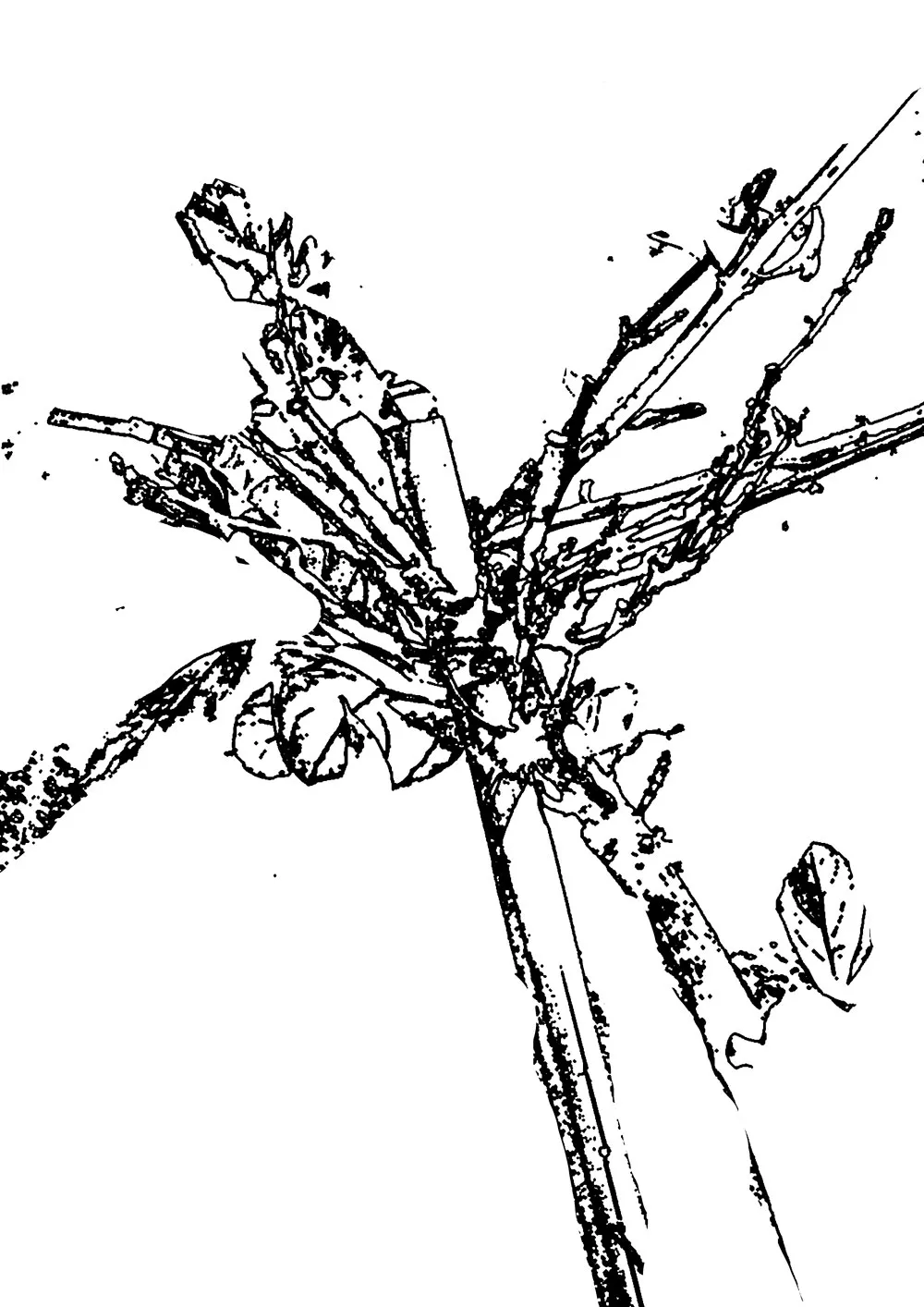 THERE_WAS_SOMETHING_HERE_ONCE_MARIA_VALDES_5