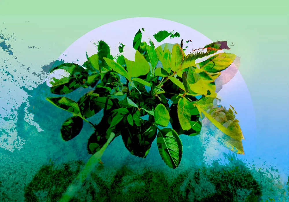 WATERWORKS_MARIA_VALDES_1