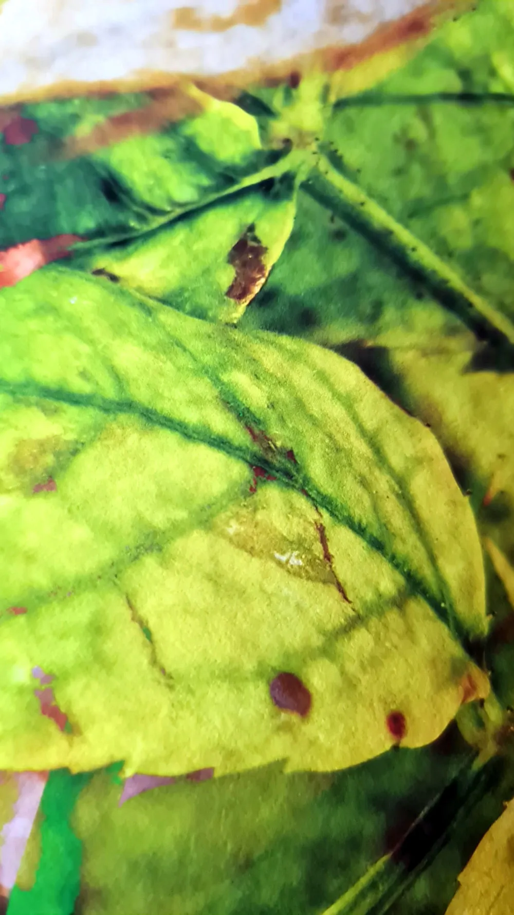 WATERWORKS_MARIA_VALDES_5