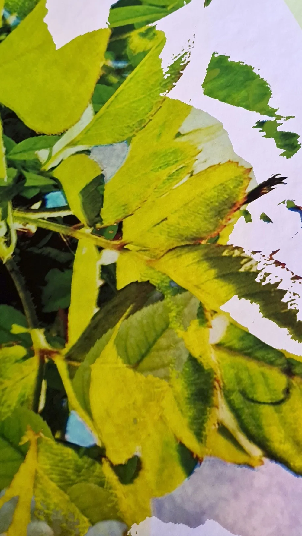 WATERWORKS_MARIA_VALDES_6