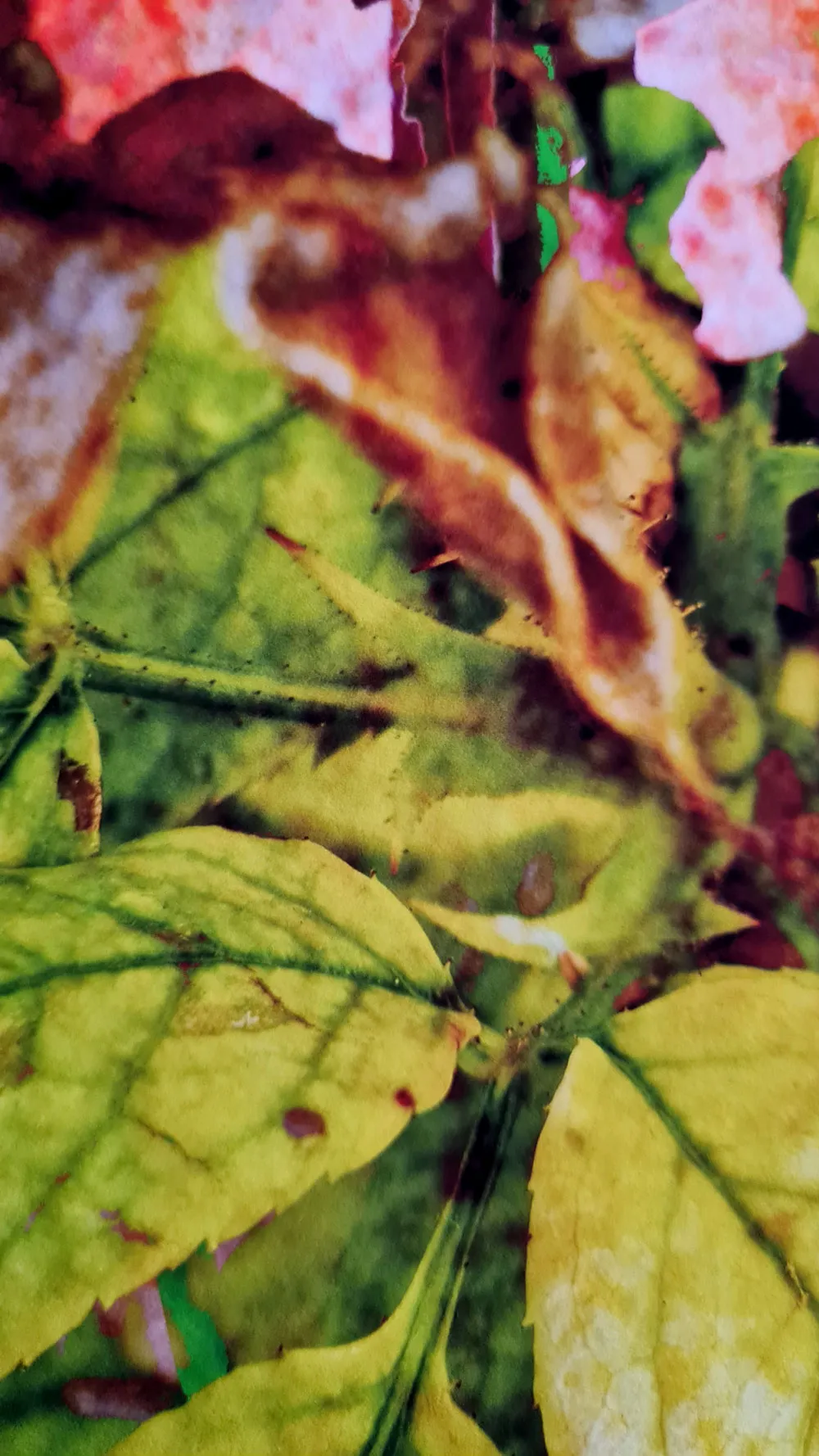 WATERWORKS_MARIA_VALDES_7